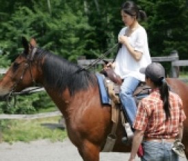 Cowboy Horse Riding
