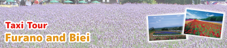 Furano and Biei One day trip Taxi tour