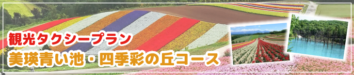 観光タクシープラン　観光タクシープラン　美瑛青い池・四季彩の丘コース