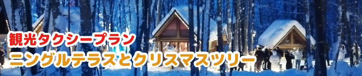 観光タクシープラン　ニングルテラス・クリスマスツリーコース