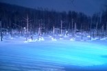 観光タクシープラン　美瑛青池ライトアップコース（冬）