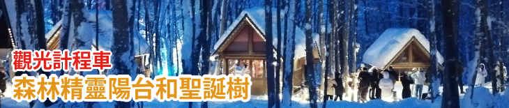觀光計程車 森林精靈露台・聖誕樹 半日遊